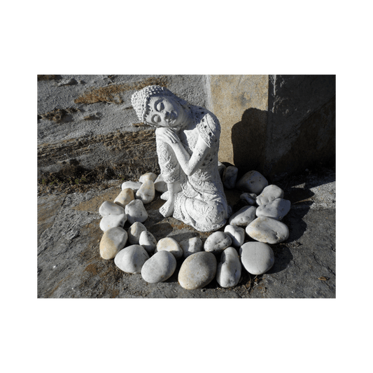 Thème astrologie chinoise - zodiaque chinois et Bazi personnalisé