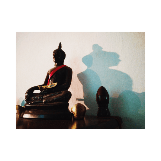 Thème astral karmique - analyse des vies antérieures et nœuds lunaires